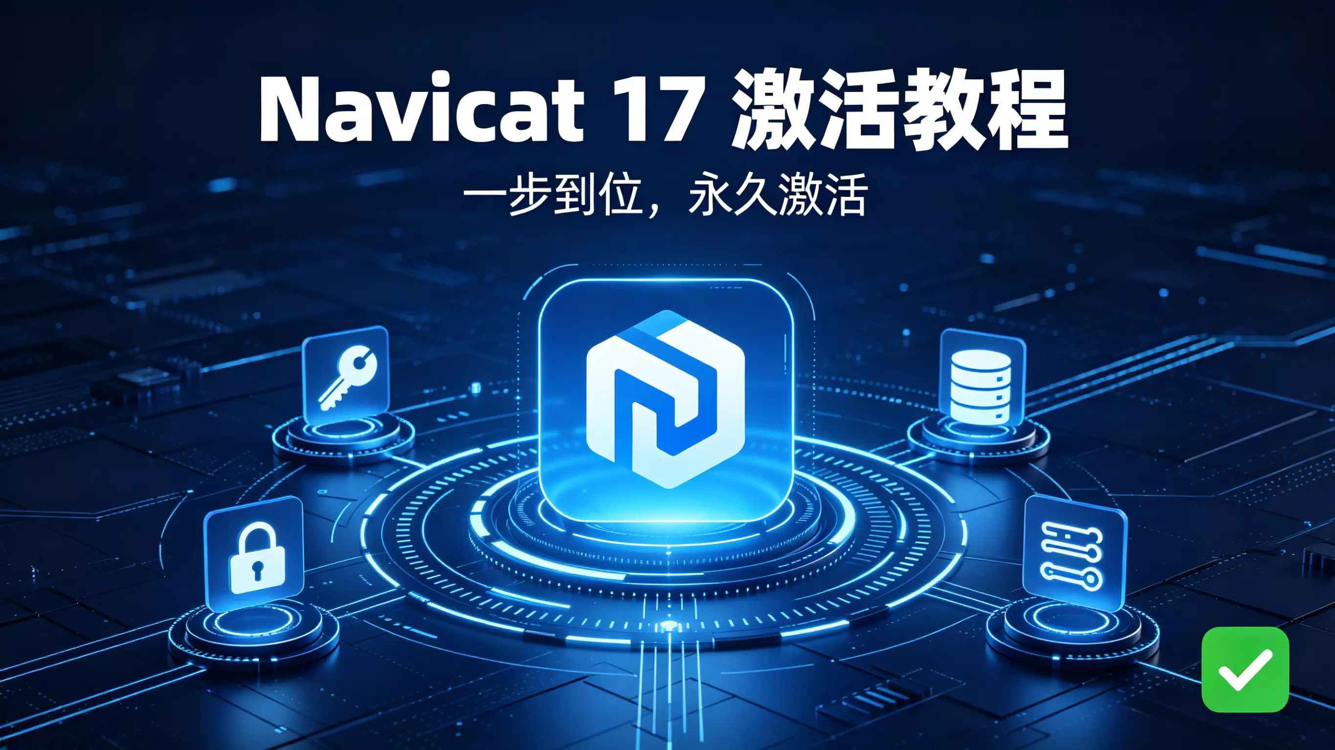 Navicat 17 激活教程
